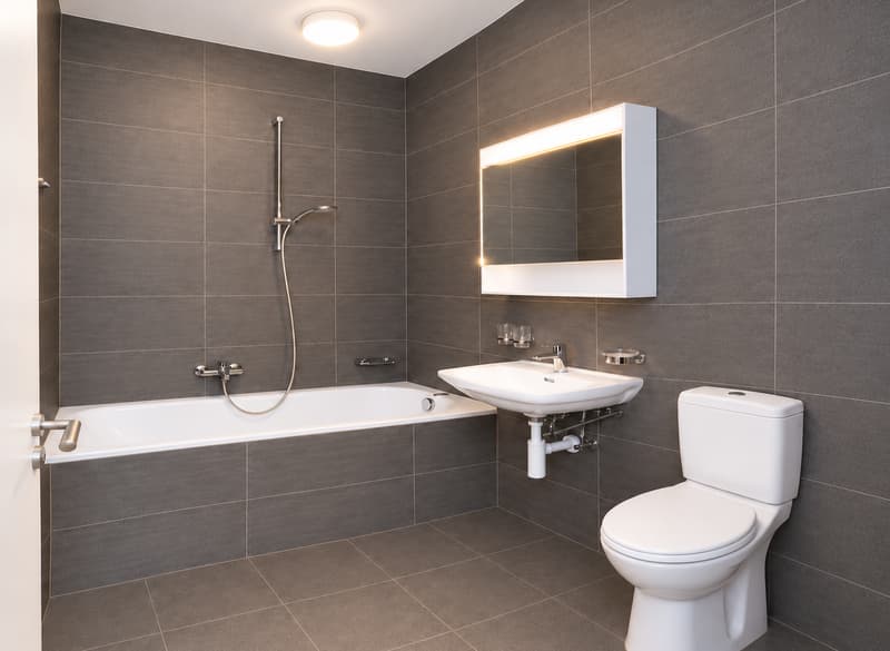 Appartement lumineux et accueillant de 2,5 pièces – Calme et commodités à proximité (2)