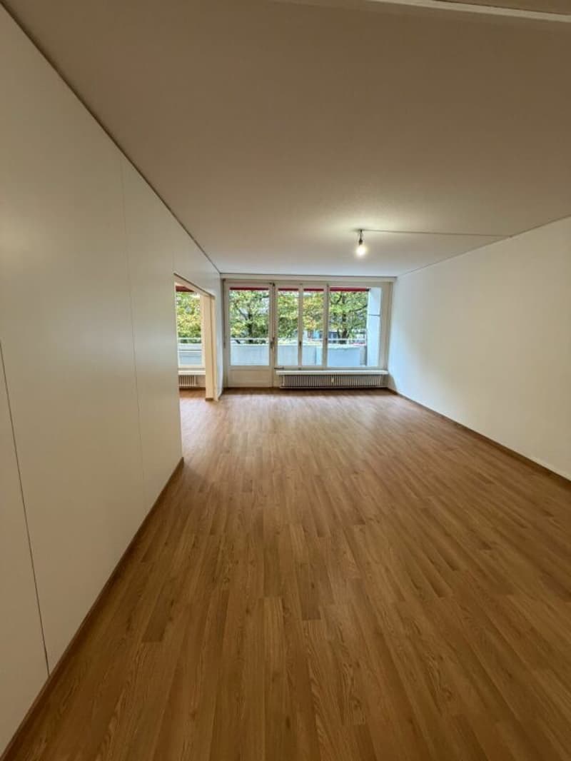 Grosse und moderne 2.5 Zimmerwohnung jetzt zu vermieten! (1)