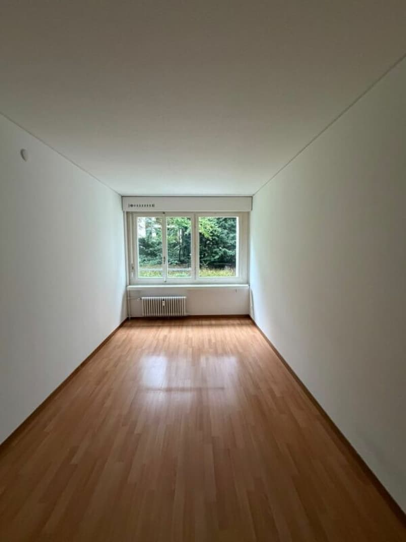 Wunderschöne 3,5-Zimmer-Wohnung ab sofort zu vermieten! (5)