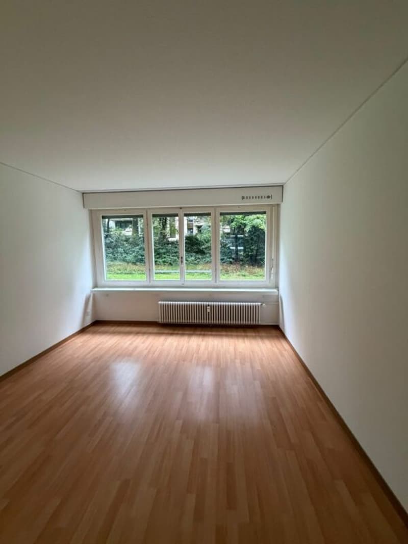 Wunderschöne 3,5-Zimmer-Wohnung ab sofort zu vermieten! (6)