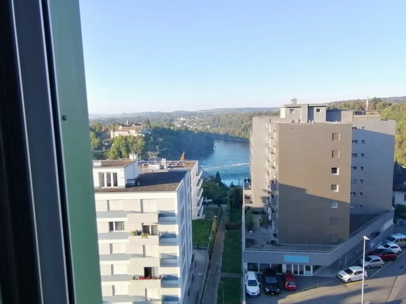 Familienwohnung im Zentrum (14)