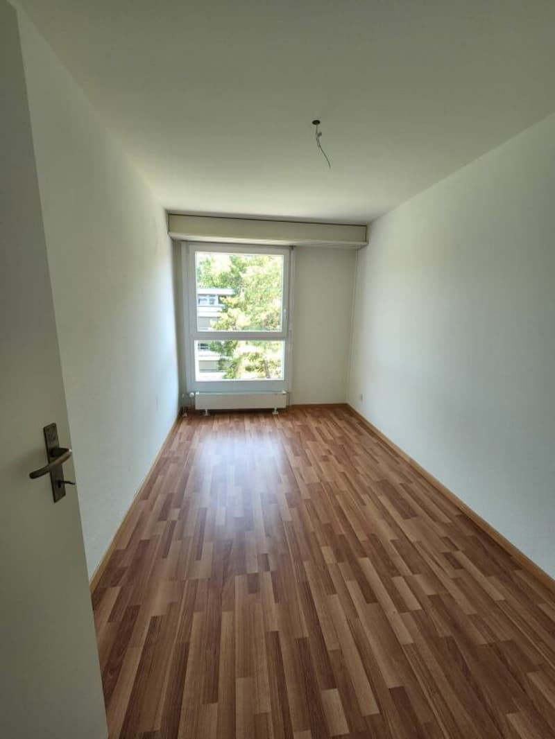 Neu renovierte 5.5 Zi Wohnung im 1. Stock (6)