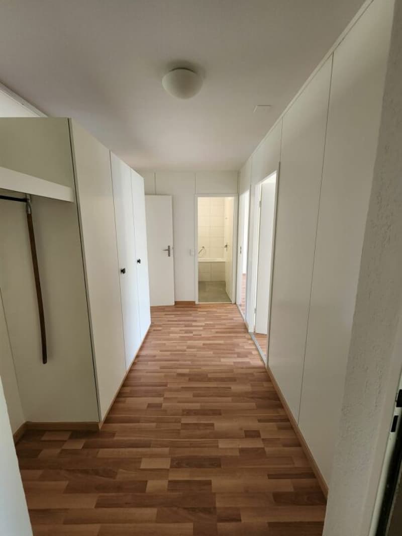Neu renovierte 5.5 Zi Wohnung im 1. Stock (4)