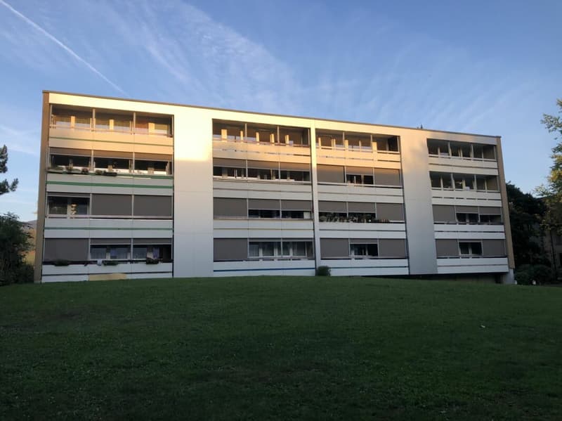 Neu renovierte 5.5 Zi Wohnung im 1. Stock (11)