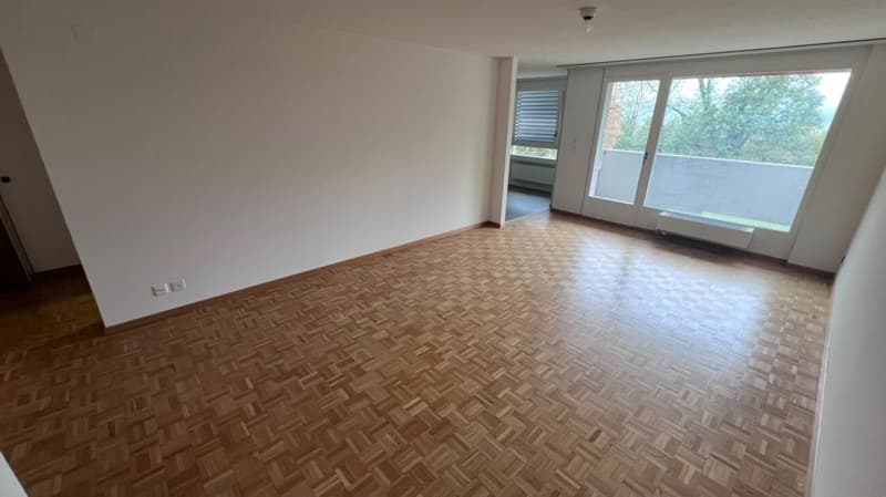 schöne helle 2 1/2 Zimmer Wohnung (3)