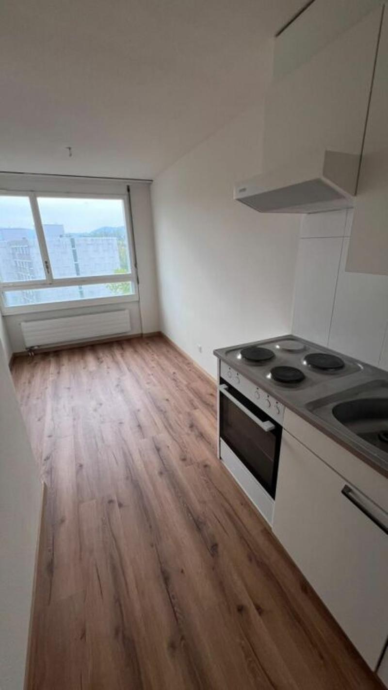 Schöne helle 2 1/2 Zimmer Wohnung (2)