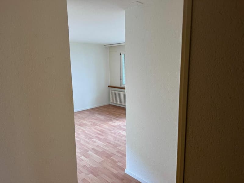 Helle 2 Zimmerwohnung mit Balkon ins Grüne zu vermieten (9)