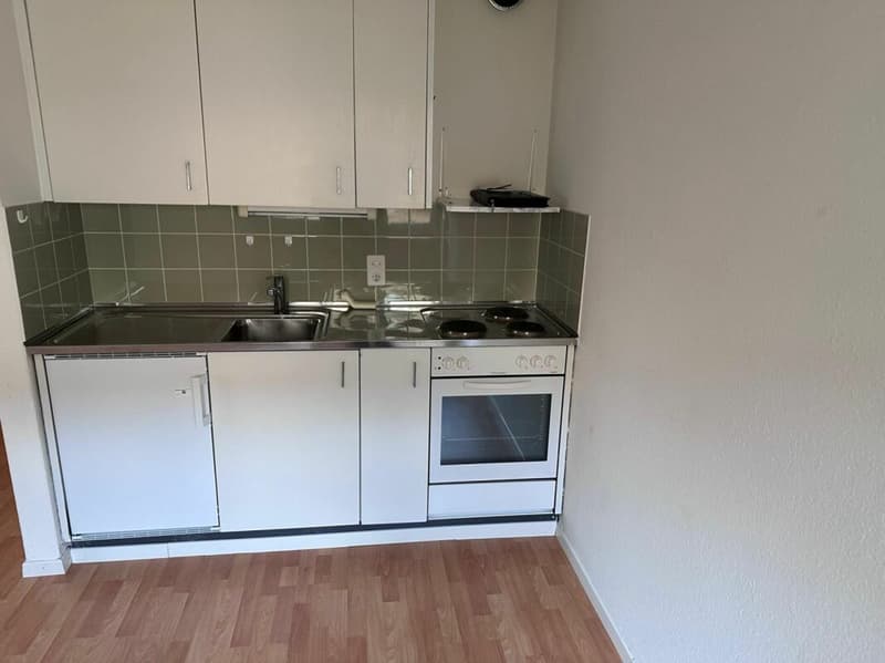 Helle 2 Zimmerwohnung mit Balkon ins Grüne zu vermieten (3)