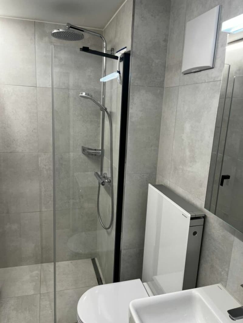 Furnished business Studio walk to Valens rehab Klink (6)