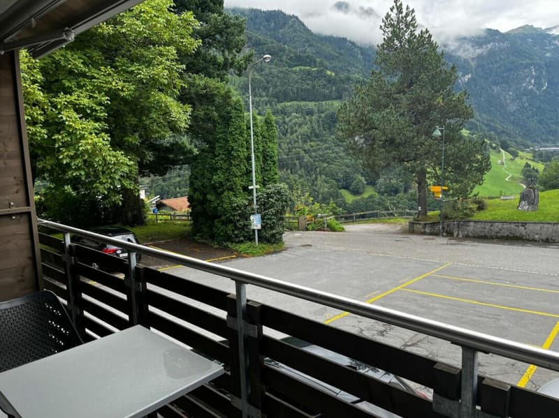 Furnished business Studio walk to Valens rehab Klink (11)