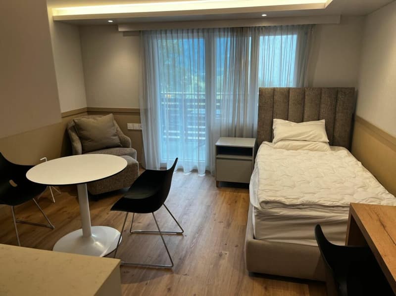 Furnished business Studio walk to Valens rehab Klink (2)
