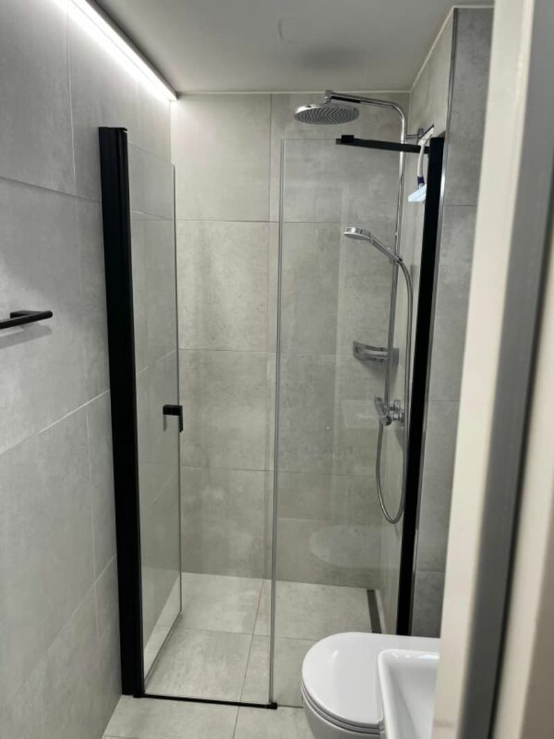 Furnished business Studio walk to Valens rehab Klink (7)