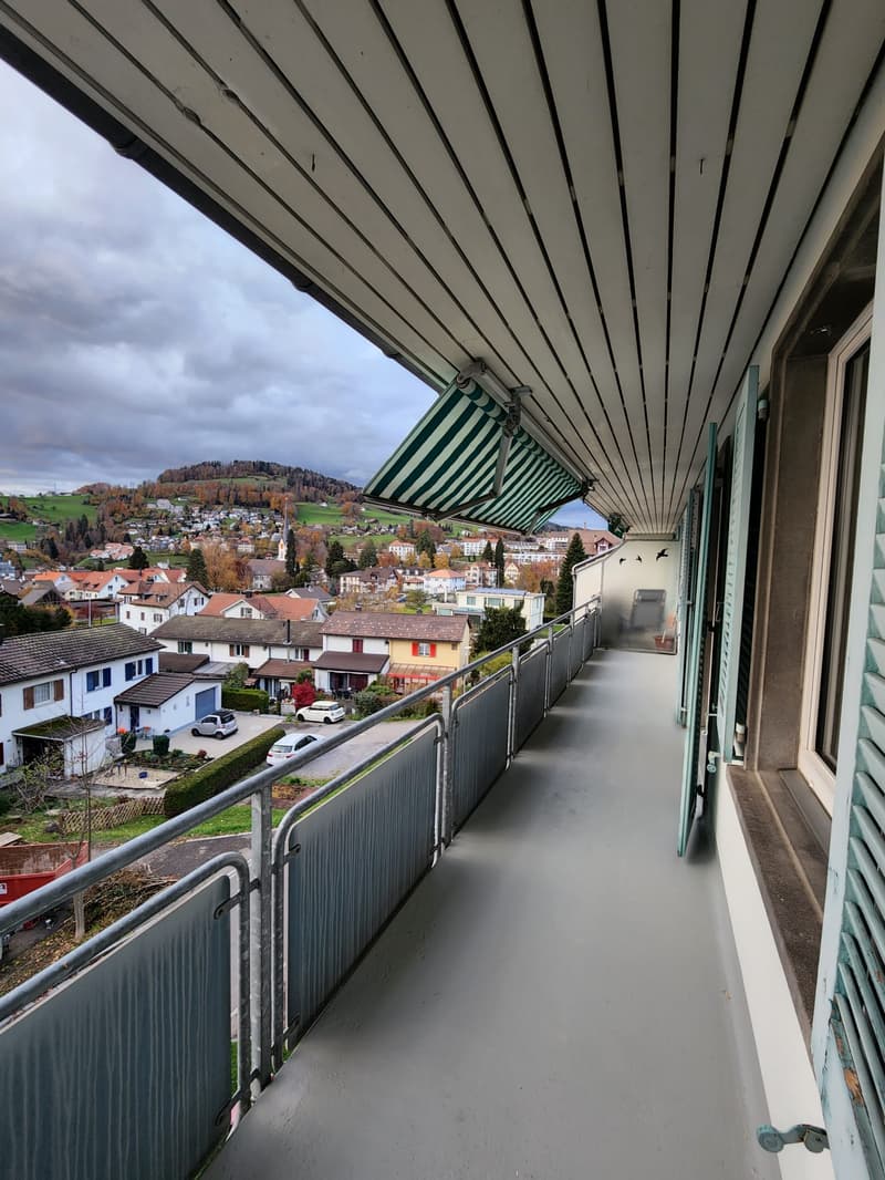 Tolle 3-Zimmer-Wohnung mit Balkon in Wald ZH (10)