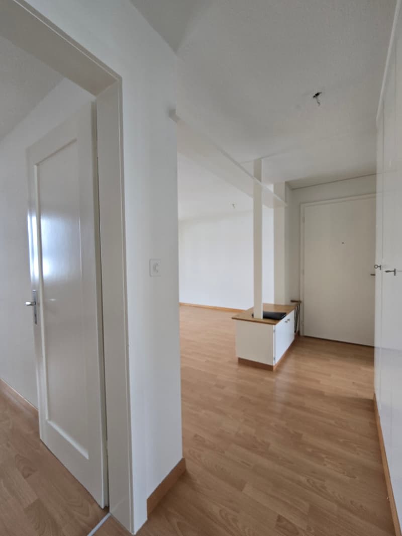 Tolle 3-Zimmer-Wohnung mit Balkon in Wald ZH (6)