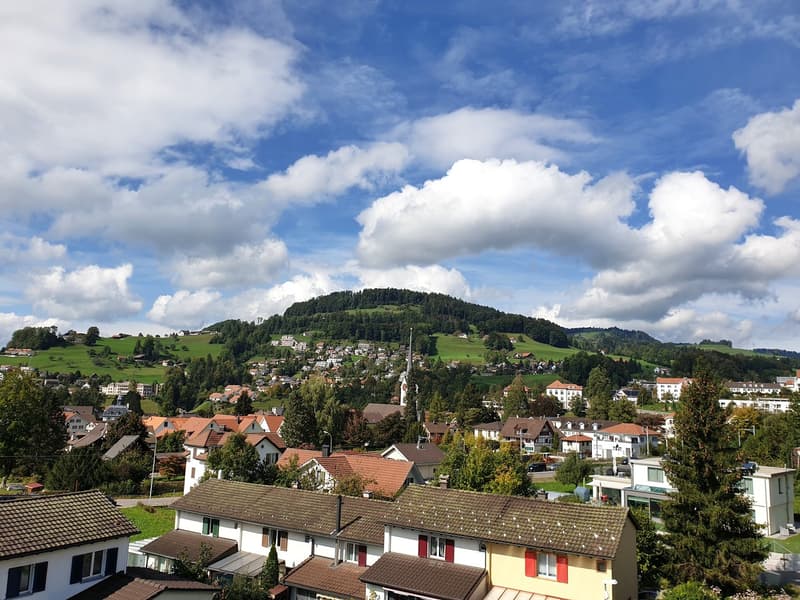Tolle 3-Zimmer-Wohnung mit Balkon in Wald ZH (11)