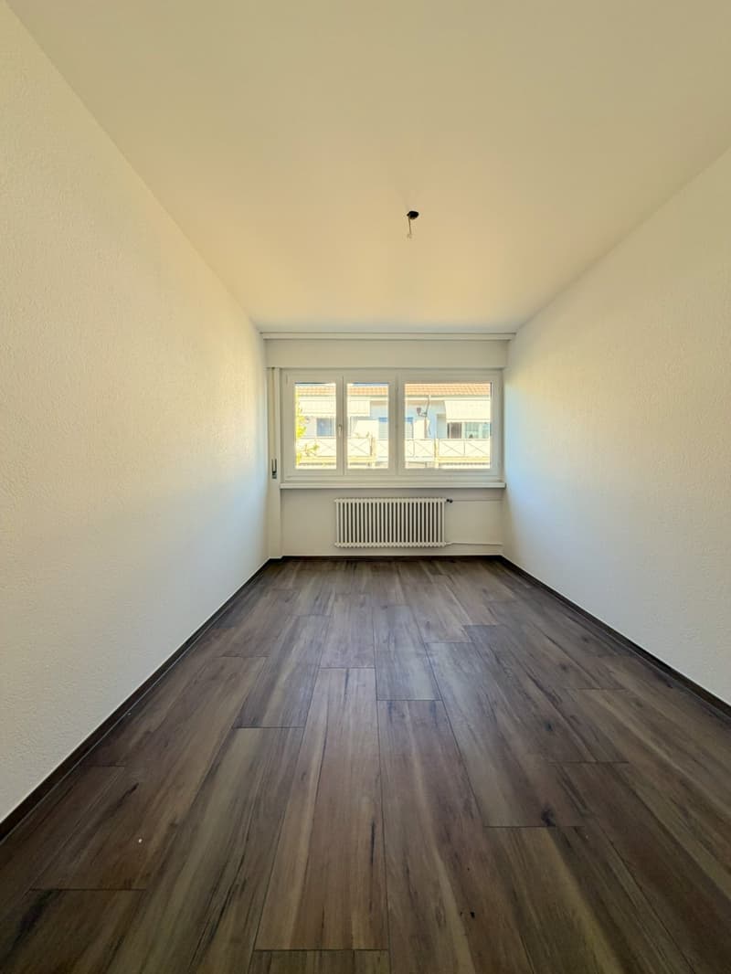 Zimmer3