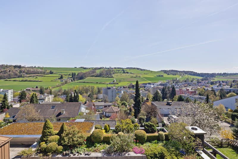 Traumaussicht mit Garten und zahlreichen Möglichkeiten (5)