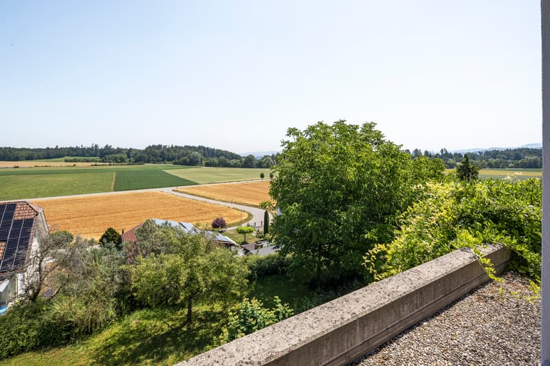 Geräumiges Wohnhaus mit unverbaubarer Weitsicht und grossem Umschwung (2)