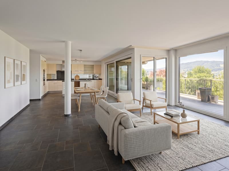 Grosszügige Wohnoase mit Weitsicht und Terrasse am Hallwilersee (2)