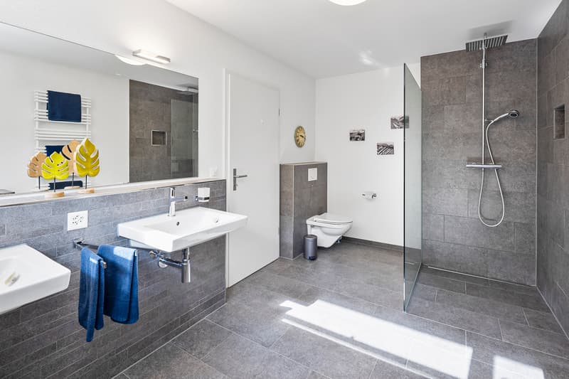Moderner Wohntraum mit traumhafter Terrasse an ruhiger Lage (11)