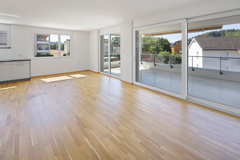 Moderne Wohnoase mit grosser Terrasse und viel Licht (2)