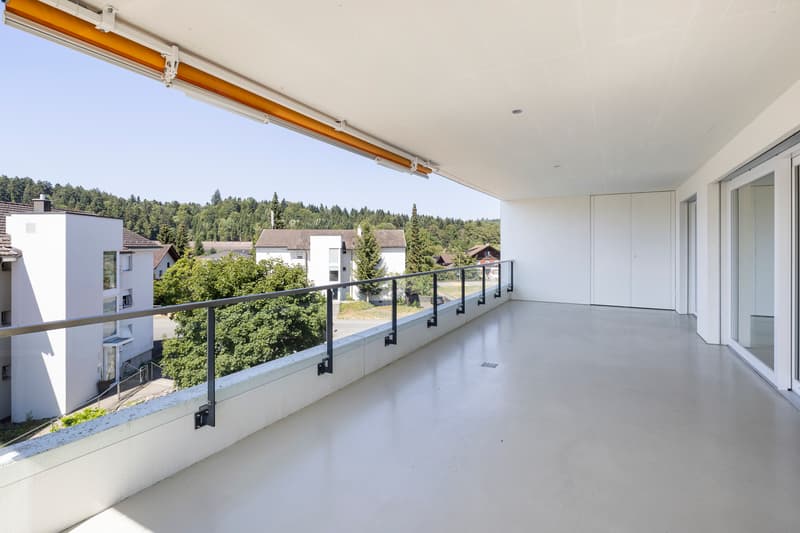 Moderne Wohnoase mit grosser Terrasse und viel Licht (12)