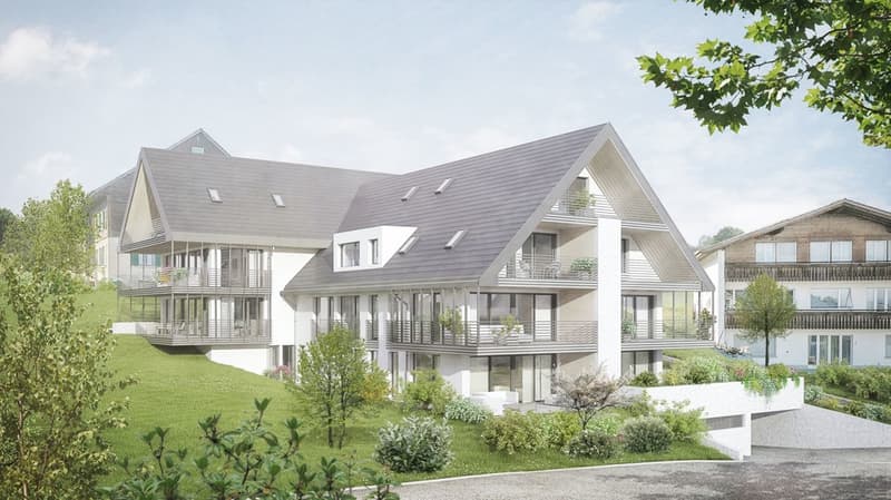 Grosse Terrasse und moderne Ausbau über dem Nebel (2)