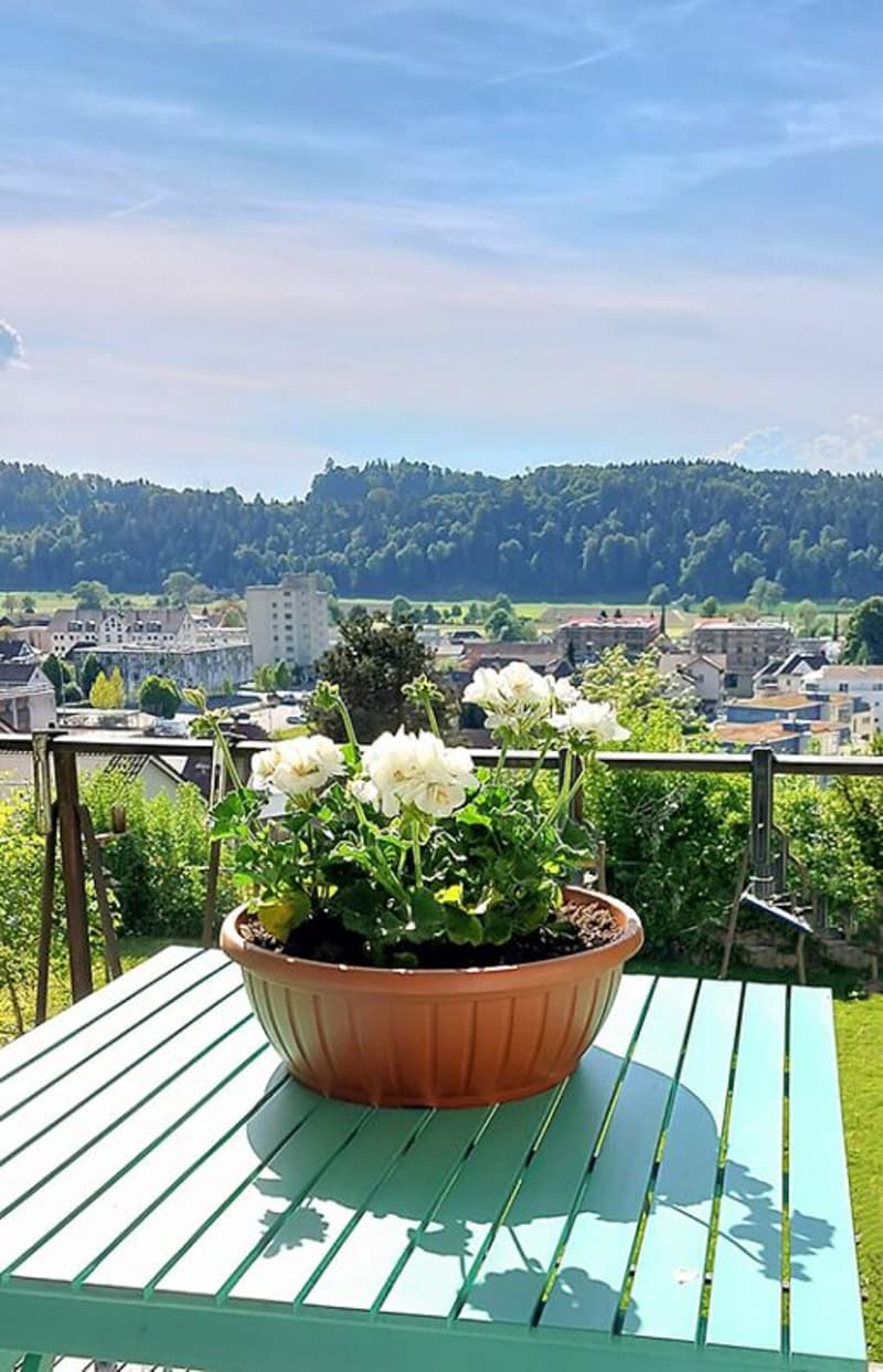 Stilvolle 7.5 Zimmer-Villa mit parkähnlicher Gartenanlage (25)