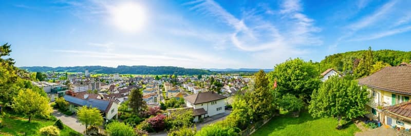 Stilvolle 7.5 Zimmer-Villa mit parkähnlicher Gartenanlage (7)