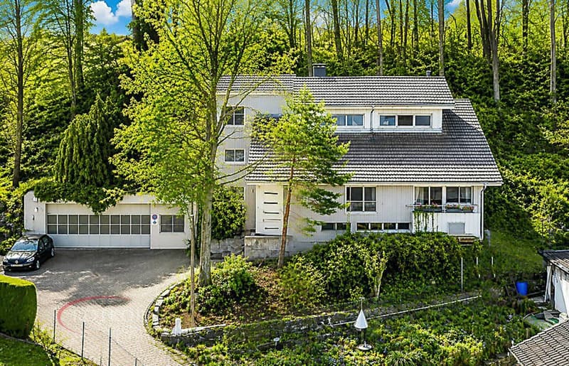 7.5 Zimmer-Einfamilienhaus mit Lagerhalle (1)