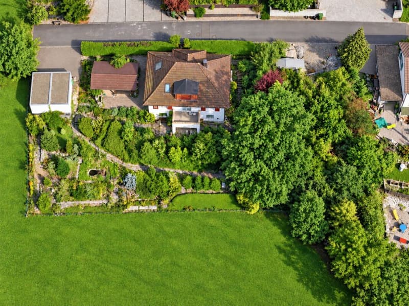 Wohnidylle im Grünen (5)