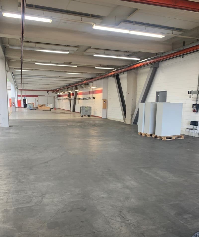 Environ 1'350m2 à 1'650m2 d'espaces commerciaux, industriels et de stockage (5)