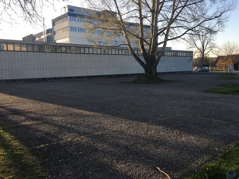 An empty parking lot in front of a building with several floors and glass windows. The parking lot has a gray surface, and the building is gray. There are cars parked on the side, and a tree is in the middle of the lot. There are also some other trees in