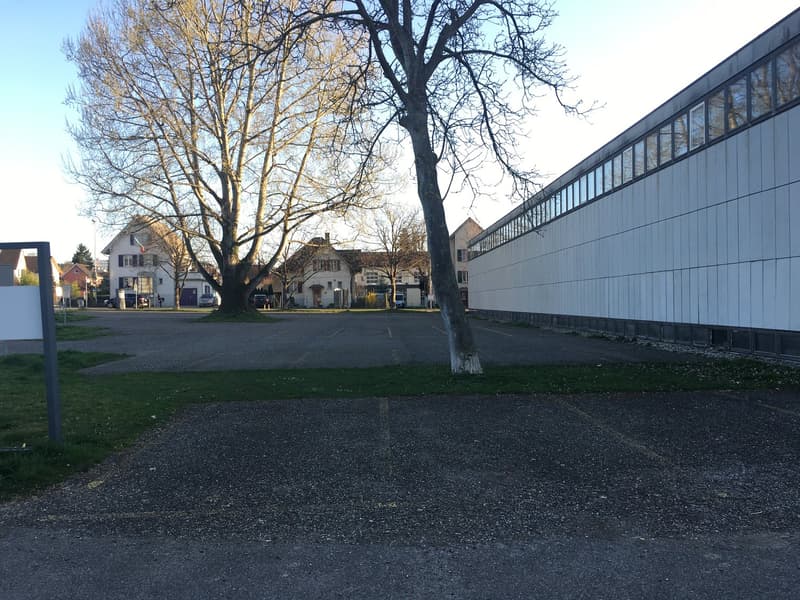 asphalt parking lot, buildings, car parked, streetlight, trees, grass