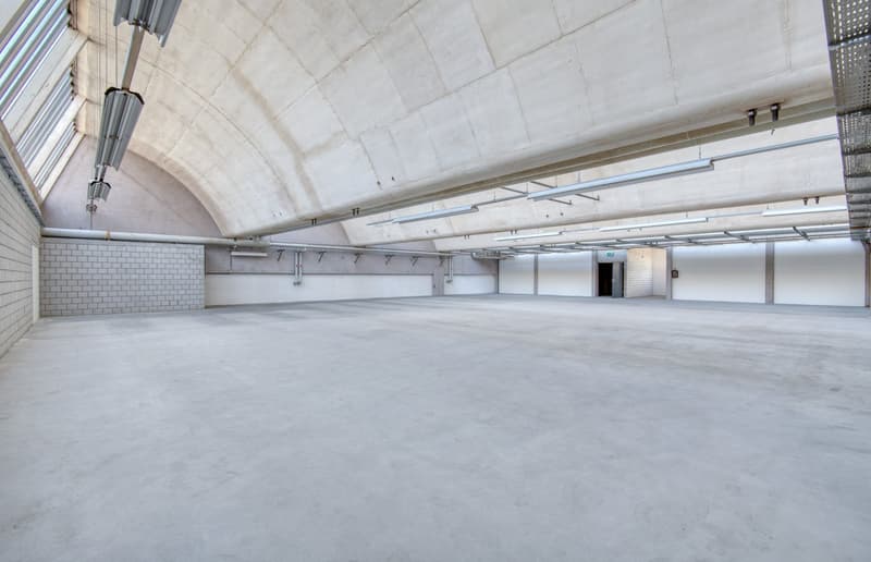 Industrie-, Gewerbe oder Lagerfläche mit viel Tageslicht (2)