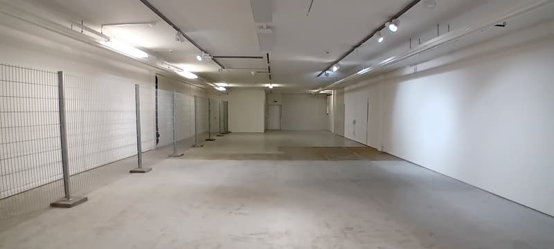Empty room with white walls, concrete floor, metal fences, and track lighting