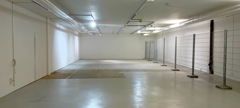 Empty room with white walls, concrete floor, metal fences, and ceiling lights