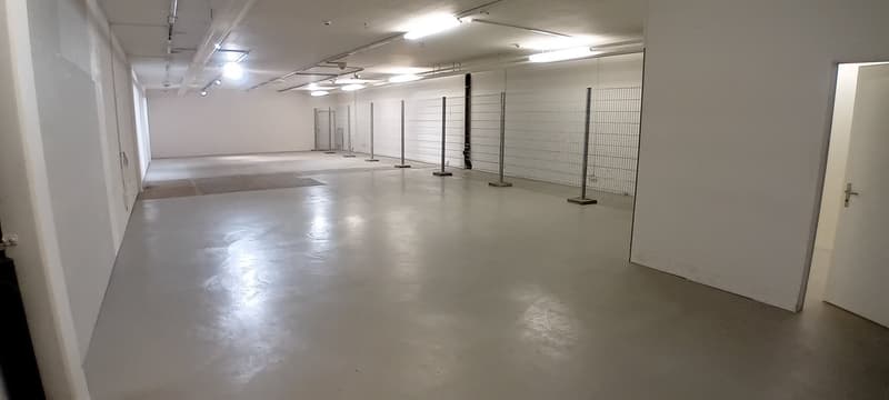 Empty room, white walls, white floor, metal fences, lights on the ceiling
