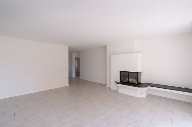 Helle 4.5-Zimmer-Wohnung mit Südbalkon an beliebter Wohnlage (4)