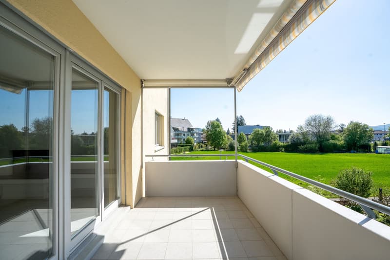 Helle 4.5-Zimmer-Wohnung mit Südbalkon an beliebter Wohnlage (1)
