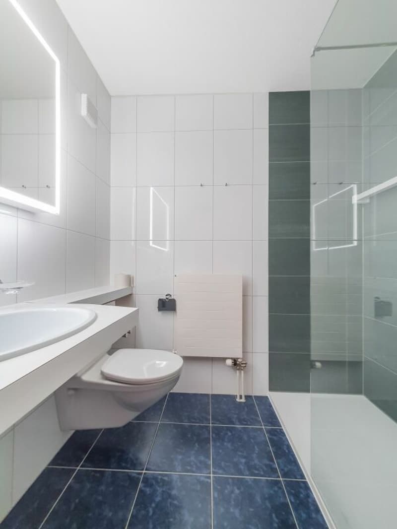 3.5 Zimmer Gartenwohnung (9)