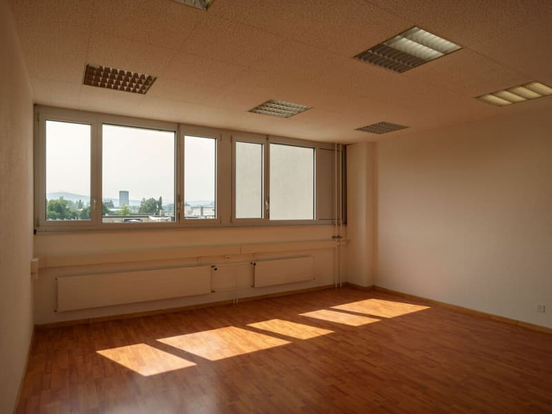 Your new company location; 450 - 1'850 m2 office and service spaces for rent (CHF 120.00 m2) (4)