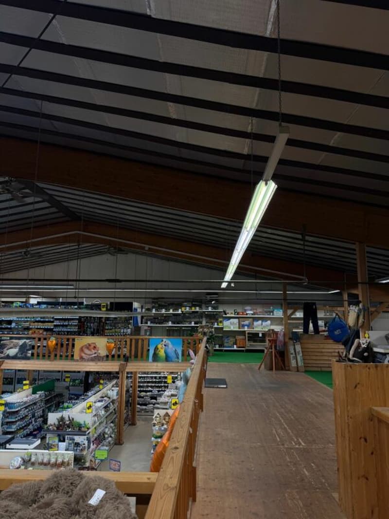800 m2 Sales or Commercial Space in the Dietikon Industrial Area (3)