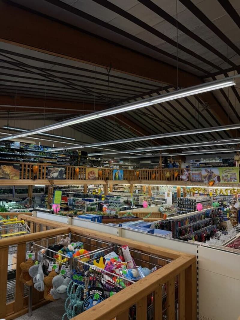 800 m2 Sales or Commercial Space in the Dietikon Industrial Area (2)
