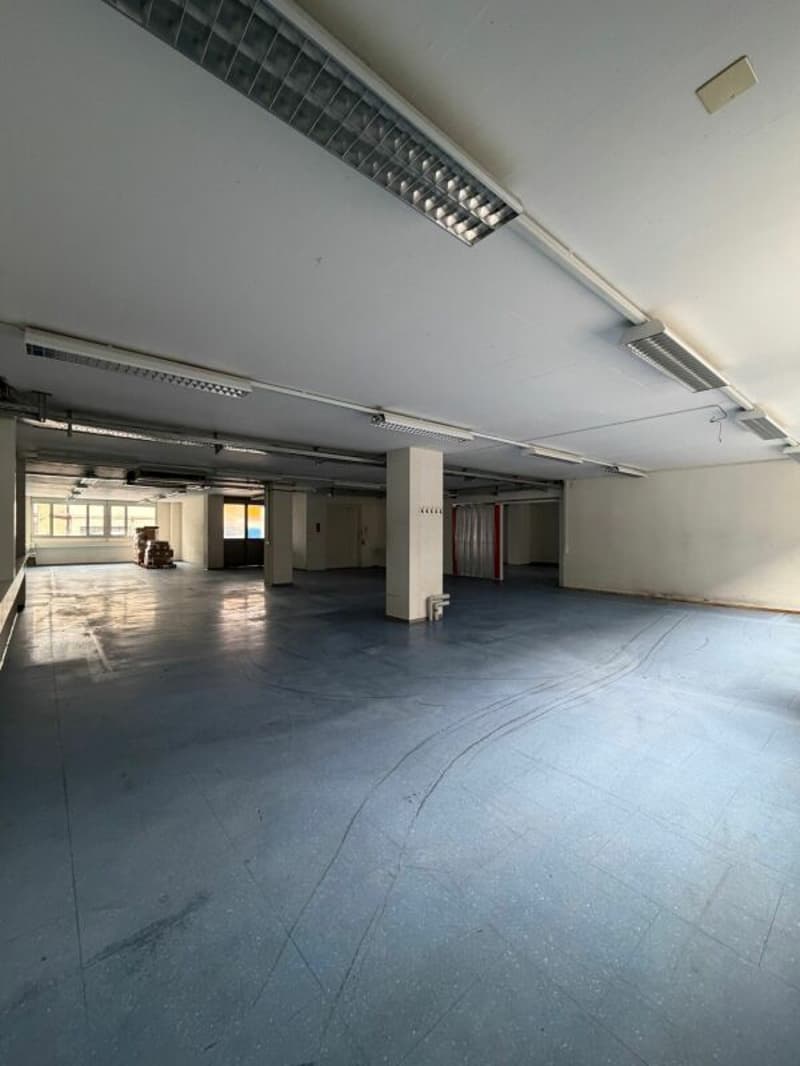 Ihr neuer Firmenstandort; 597 m2 Büro- und Dienstleistungsräume im Erdgeschoss mit direktem Zugang über Rampe (3)