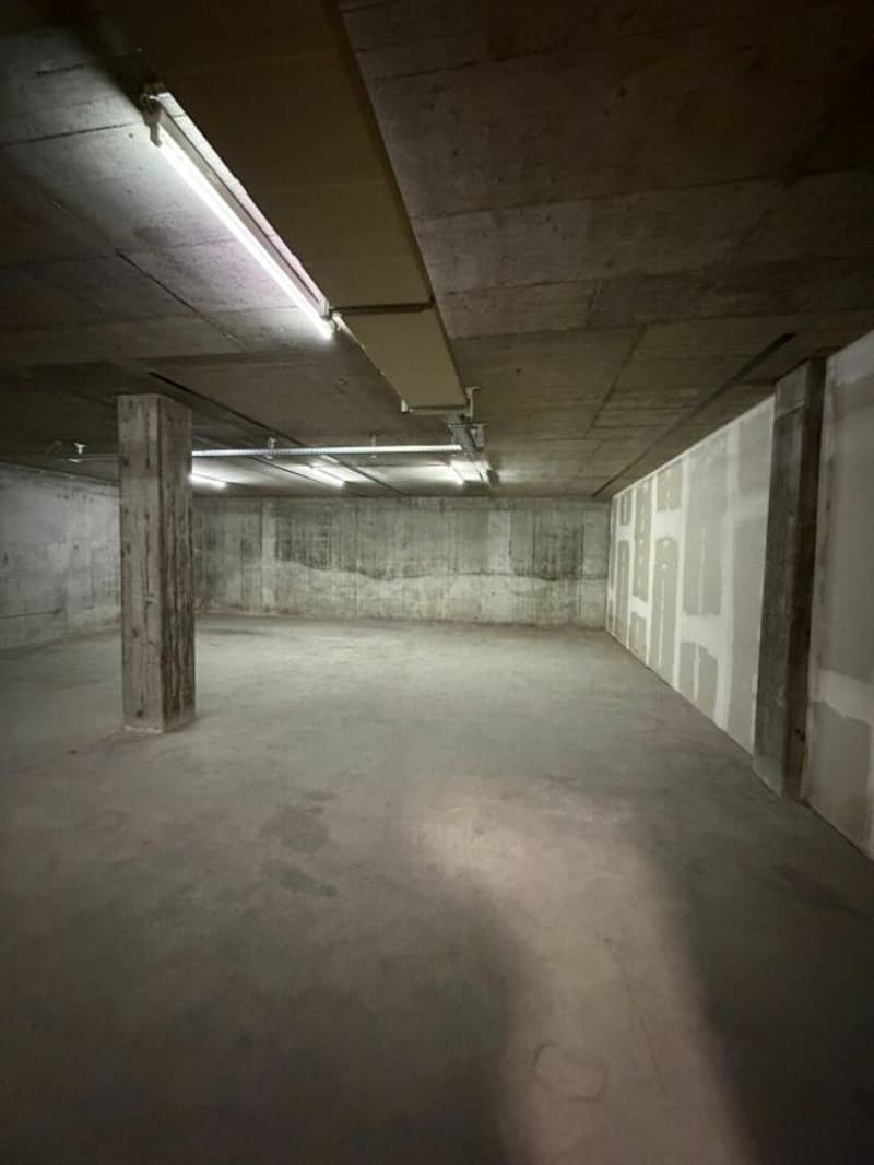 Locaux de stockage au 1er sous-sol avec rampe directe & ascenseur de marchandises de grande taille à louer (3)