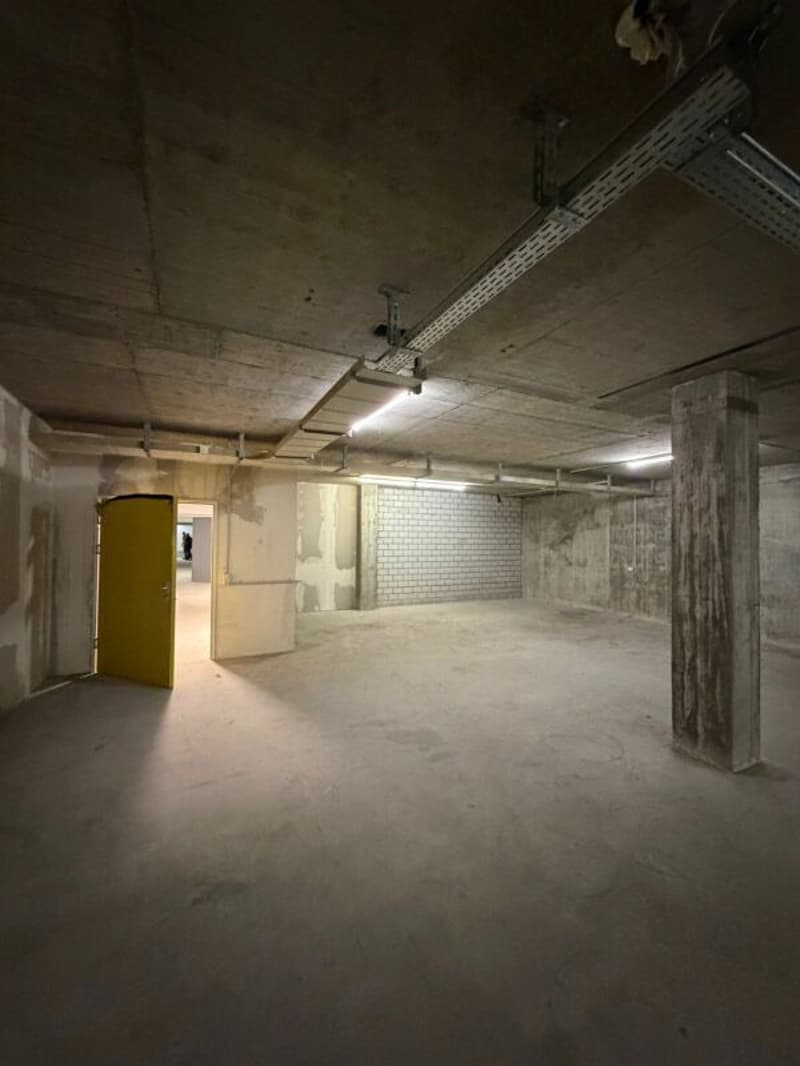 Locaux de stockage au 1er sous-sol avec rampe directe & ascenseur de marchandises de grande taille à louer (2)