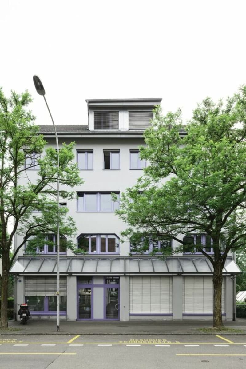 Lichtdurchflutete Dachwohnung im Zentrum von Dietikon (3)