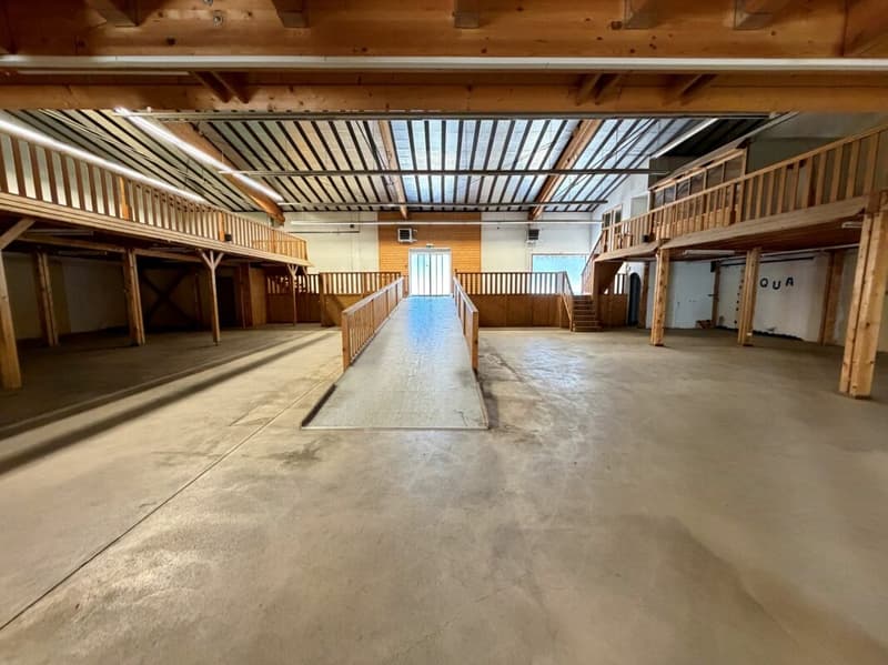 800 m2 Verkaufsfläche- oder Gewerbefläche in der Industrie Dietikon (4)