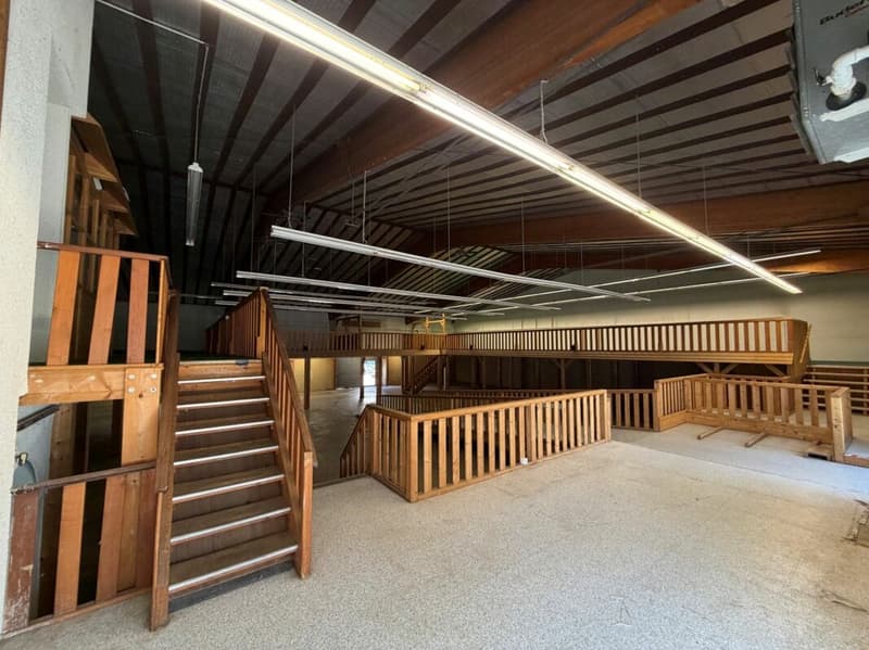800 m2 Verkaufsfläche- oder Gewerbefläche in der Industrie Dietikon (2)